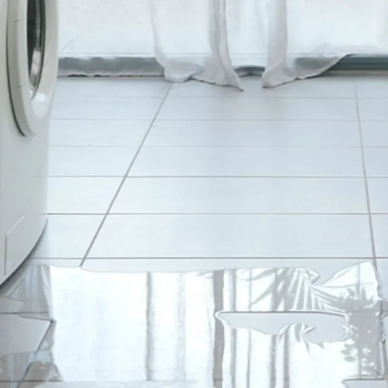 Appliance Leak Cleanup in Bismarck, MO