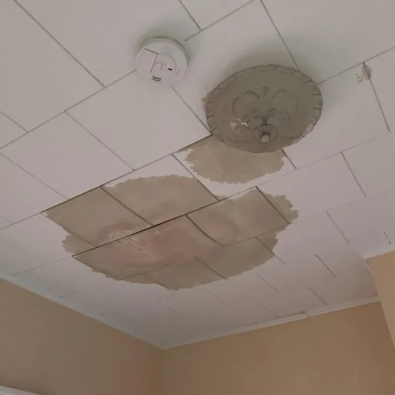 Ceiling Water Damage Repair in Bismarck, MO