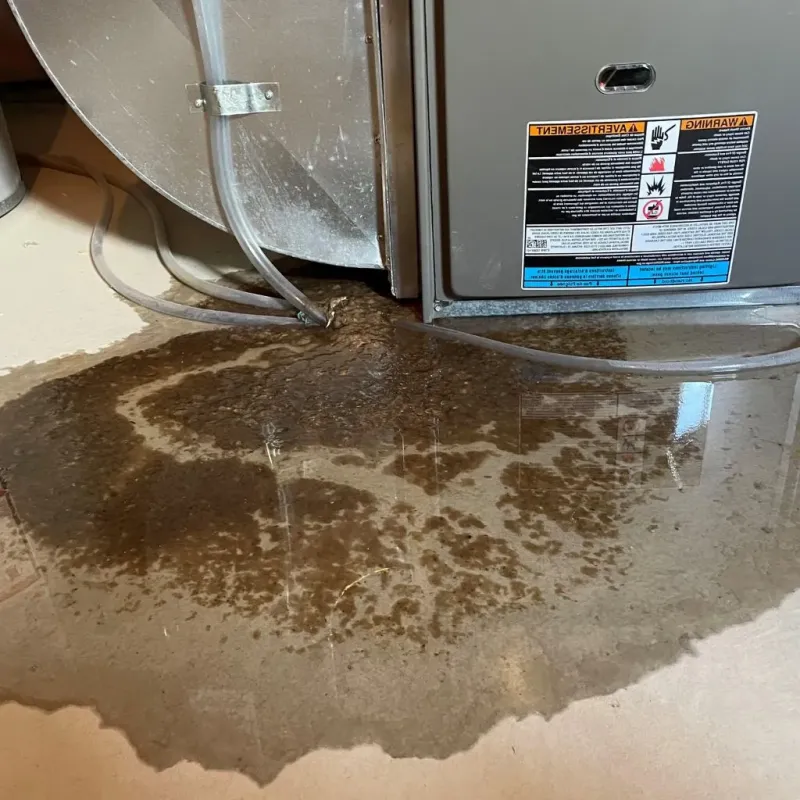 Pipe Burst and Leak Restoration in Bismarck, MO