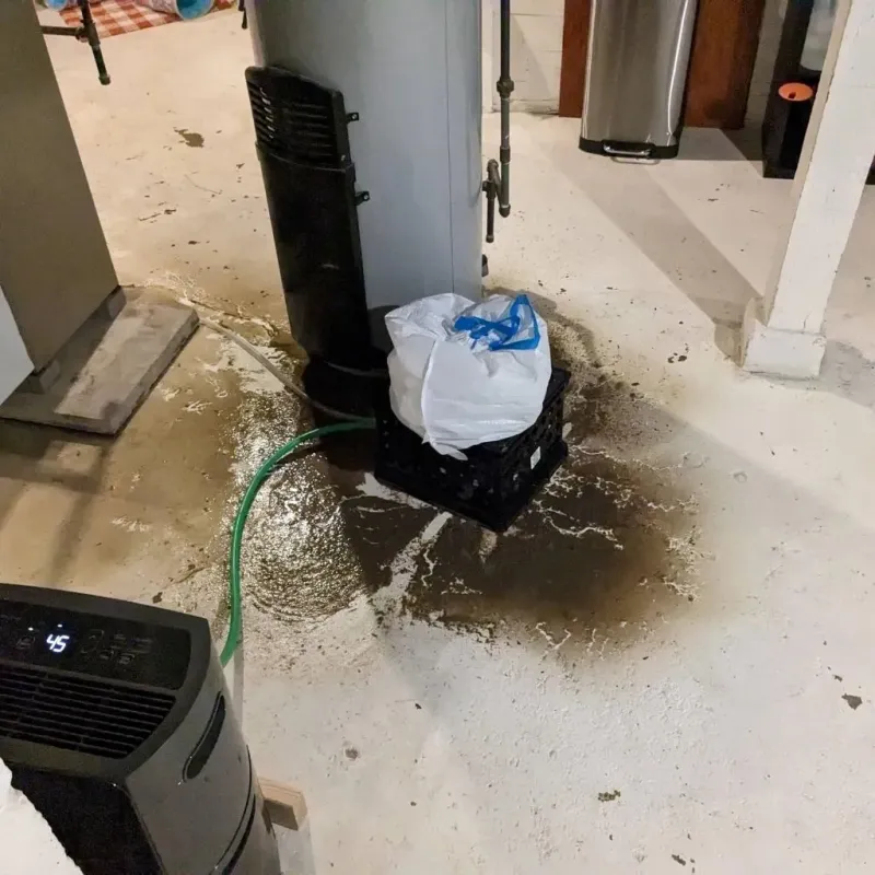 Sewage Backup Cleanup Service in Bismarck, MO